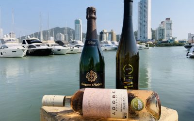Vida a bordo: dicas de vinhos para beber na primavera